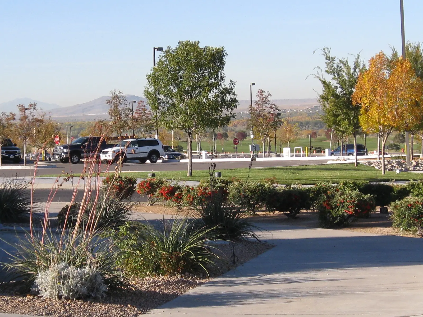 Commercial Landscape Maintenance