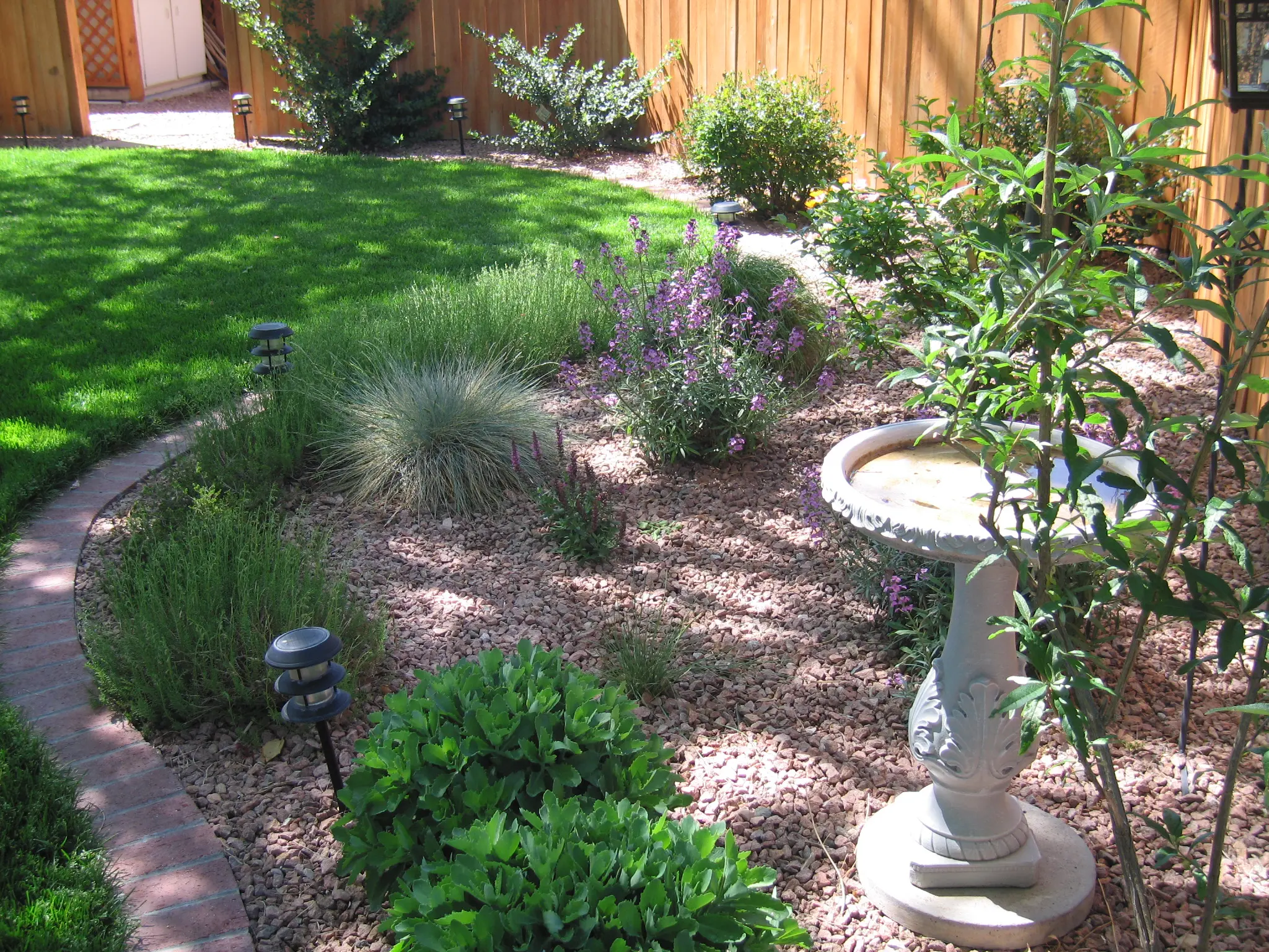 Beautiful backyard with lush lawn, decorative plants, and stone border by Landscaping Albuquerque NM experts at ASAP Sands Outdoor Services