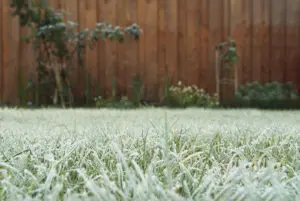 Tips for Maintaining a Healthy Lawn During Winter Dormancy by ASAP Sands Outdoor Services 505-293-4014