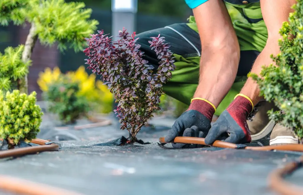 Hassle Free Landscaping Ideas for Busy Homeowners