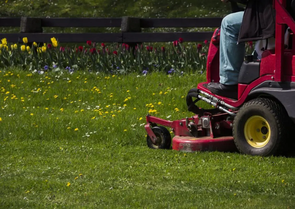 What are the Benefits of a Spring Yard Clean-Up?