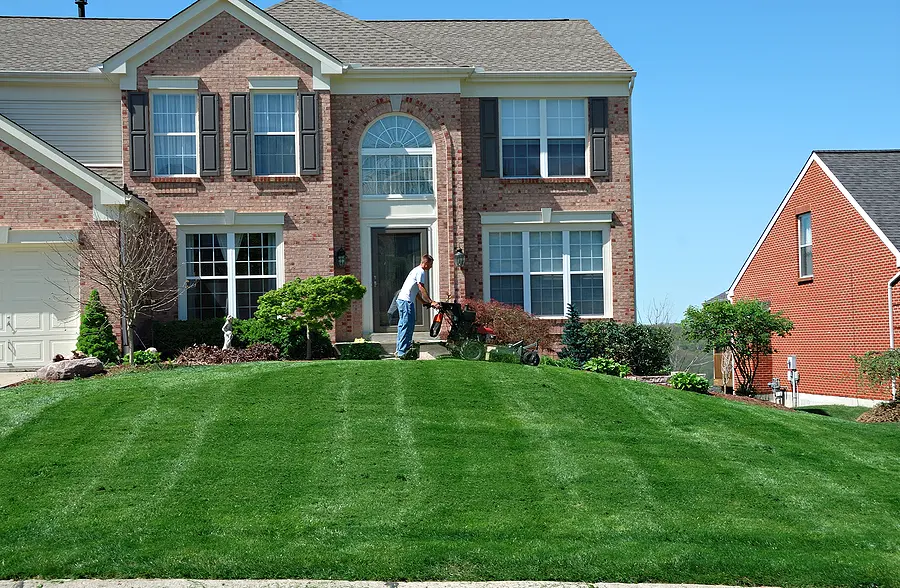 What are the Biggest Mistakes to Not Make When It Comes to Lawn Care