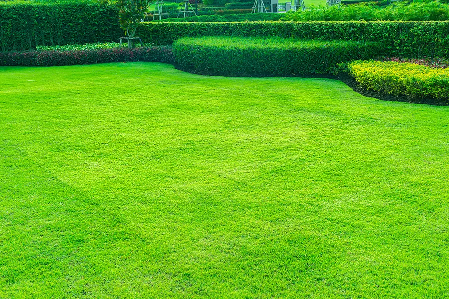 How Do I Mow My Lawn Correctly So It’s Green and Lush?
