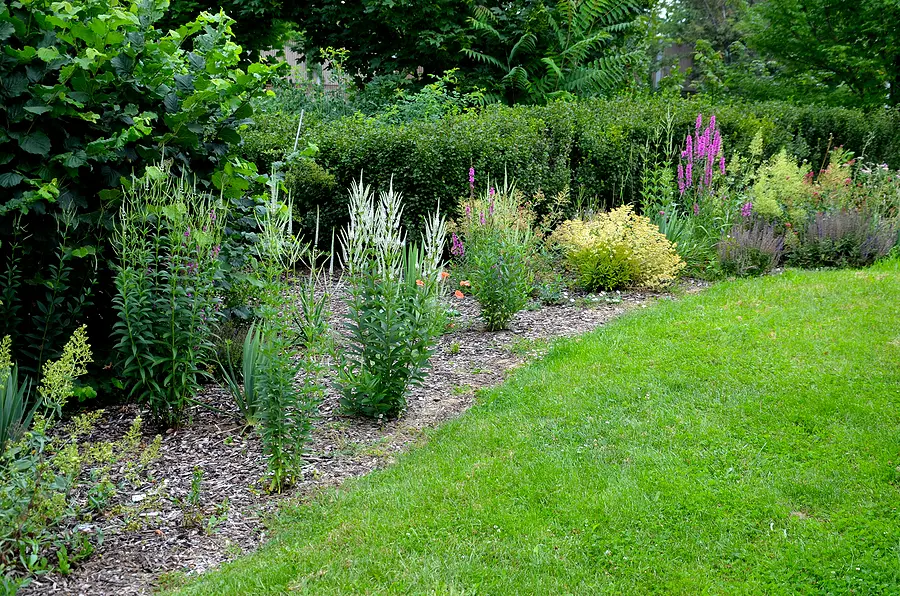 How Do I Mow My Lawn Correctly So It’s Green and Lush? 03