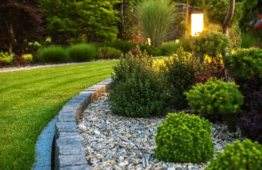 How do I Keep My Lawn Healthy in Middle of the Summer?