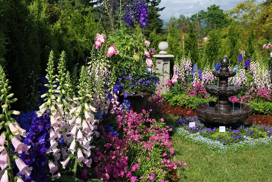 Is it OK to Plant Perennials in the Fall?