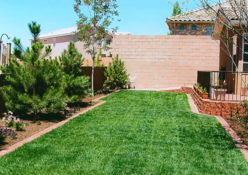 Why Is Fall the Best Time to Prepare My Albuquerque Lawn for Next Year?