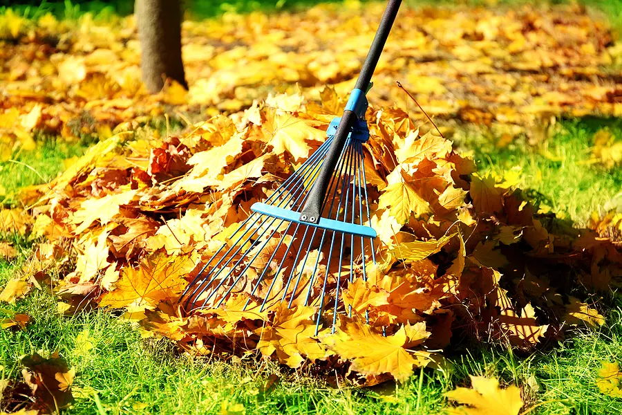 How Do I Get My Lawn Ready for Cold Weather?