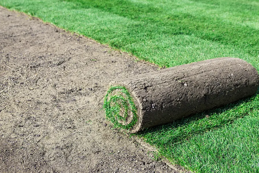 How-Soon-Can-I-Walk-on-My-Lawn-After-Putting-Down-Sod-ASAP-Sands-Outdoor-Services-505-293-4014