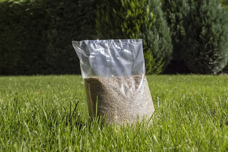 Sod vs Seed—Which One Is My Best Bet by ASAP Sands Outdoor Services 505-293-4014