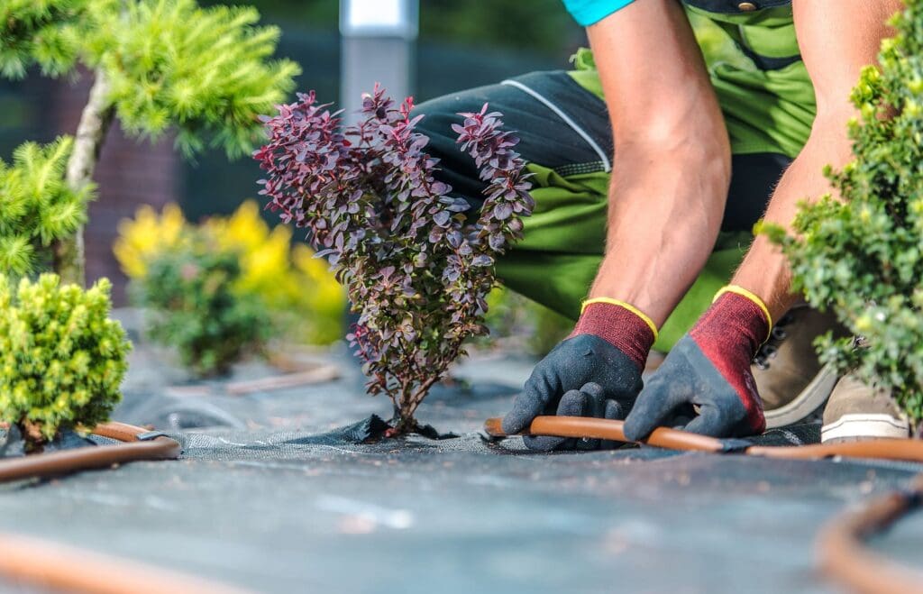 Why Do You Need a Landscaping Irrigation System?