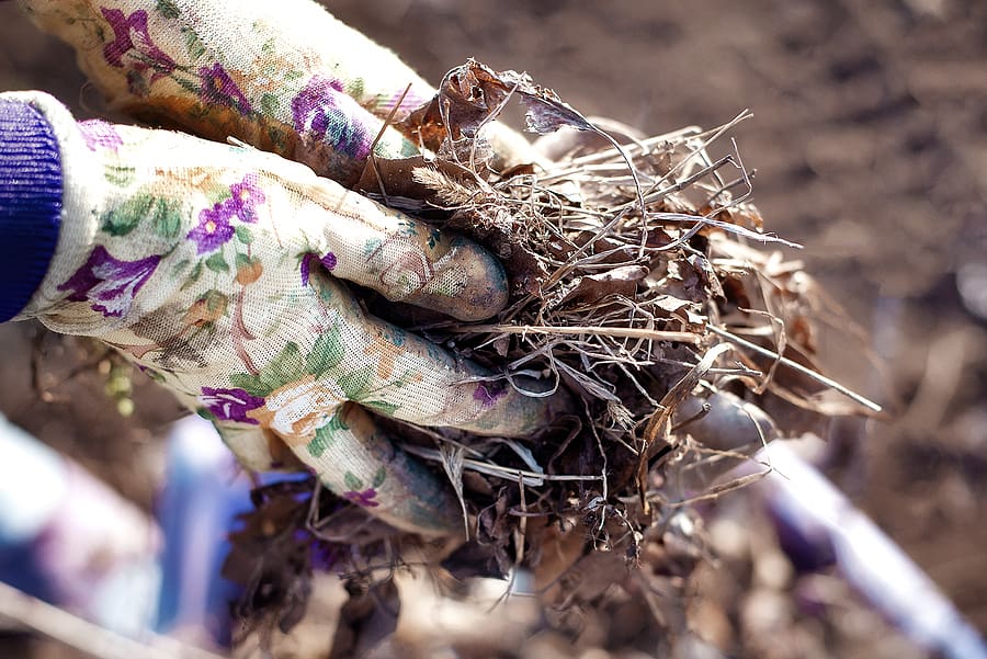 What are the Advantages of Doing a Spring Yard Cleanup
