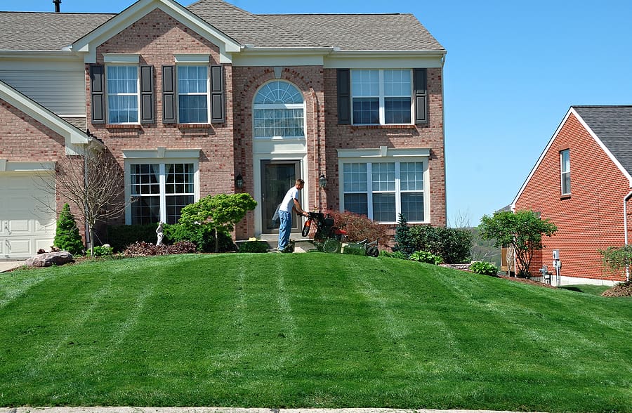 What are the Biggest Mistakes to Not Make When It Comes to Lawn Care