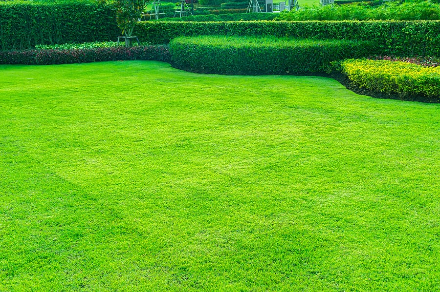 How Do I Mow My Lawn Correctly So It’s Green and Lush?