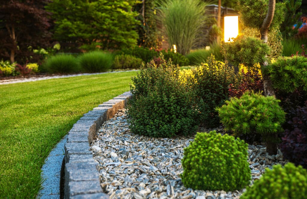 How do I Keep My Lawn Healthy in Middle of the Summer?