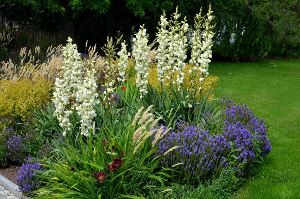 Is Mulching Really That Important for My Summer Garden? 03