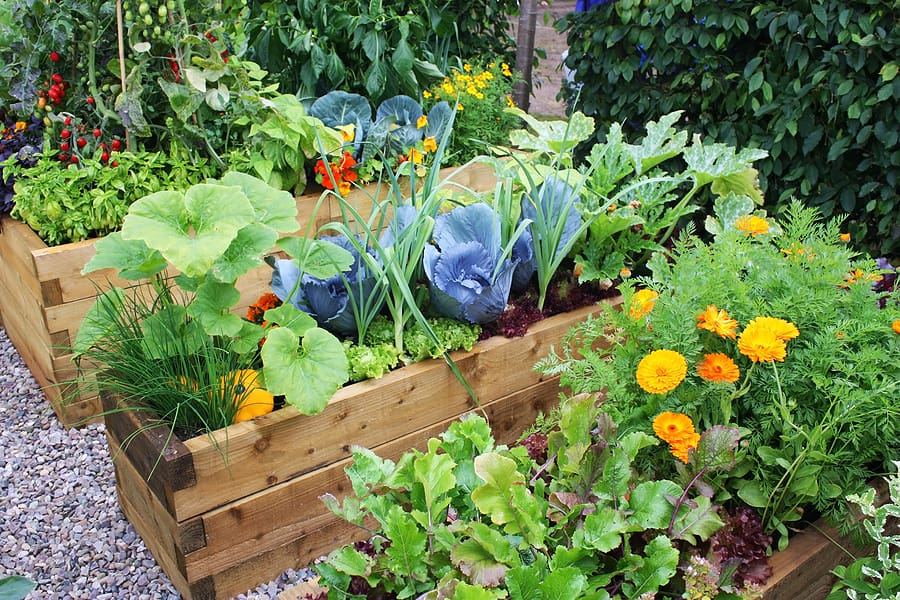 Is Mulching Really That Important for My Summer Garden? 02