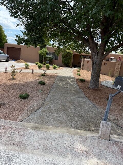 What’s the Difference Between Xeriscaping and Traditional Landscaping 2