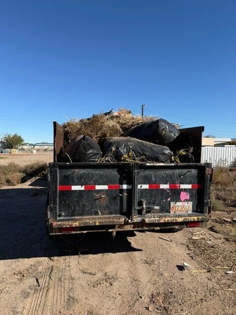 When Is the Best Time of Year to Schedule Yard Clean Up?