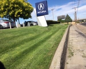 Commercial Landscaping Maintenance in Albuquerque, Los Ranchos, North Valley, Rio Rancho