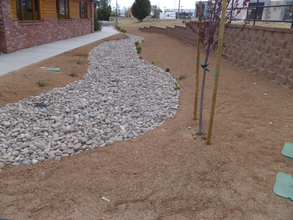 behind-property-after-photo-landscaping