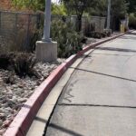 cactus and lawn maintenance near a street