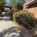 worker doing commercial landscape maintenance in los ranchos de albuquerque nm on a path in back yard