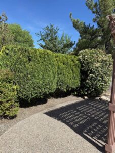 commercial-landscape-maintenance-pathway-weed-control