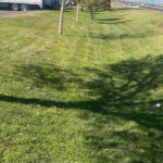 A truck parked in the grass alongside a tree. Performing landscape maintenance