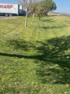 A truck parked in the grass alongside a tree. Performing landscape maintenance