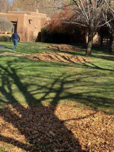 Residential clean up, leaf pick up, comercial clean up, leaves hauled away, residential landscape maintenance, commercial landscape maintenance, Albuquerque, North Valley, Los Rachos, Rio Racho